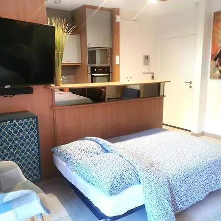 Magnifique Et Grand Studio, Piscine, Parking, Tres Calme De Standing Cannes